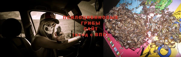 mix Аркадак